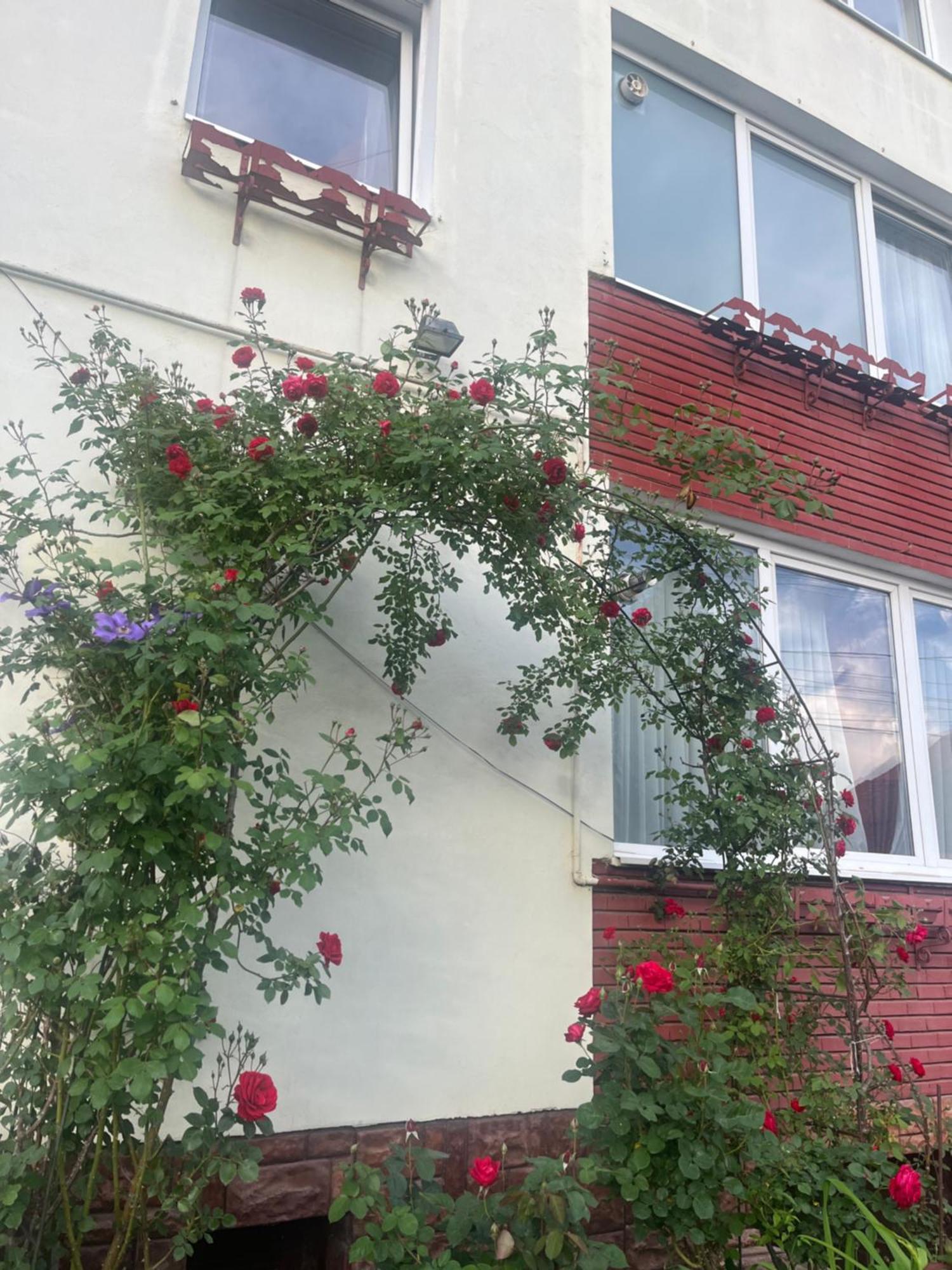 Casa Conti Hotel Nagyszeben Kültér fotó
