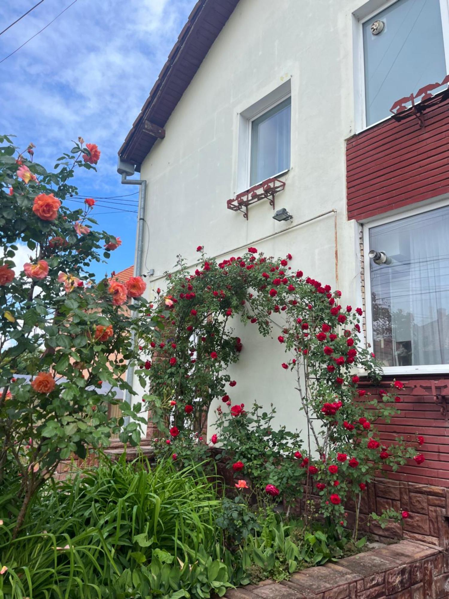 Casa Conti Hotel Nagyszeben Kültér fotó